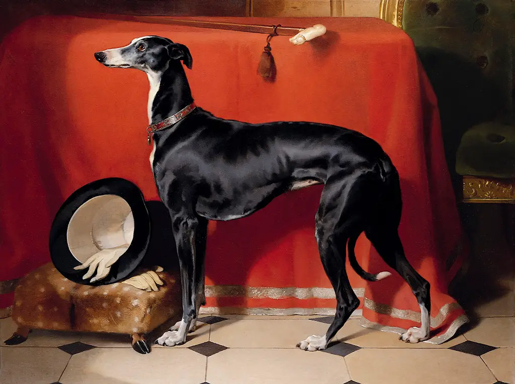 Eos (The Greyhound) in Detail Edwin Henry Landseer